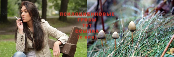 кокаин Бородино