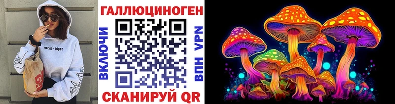 где купить наркотик  blacksprut онион  Галлюциногенные грибы прущие грибы  Козловка 